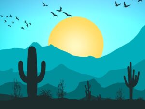 mountains, cactus, sun-7503511.jpg